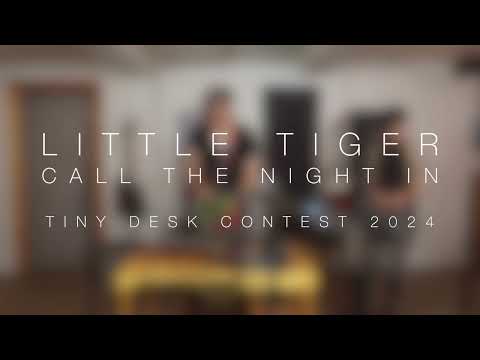 Tiny Desk Contest Little Tiger