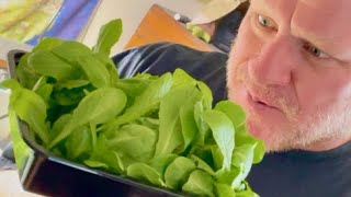 Bento Box Lettuce Baffles Buyer