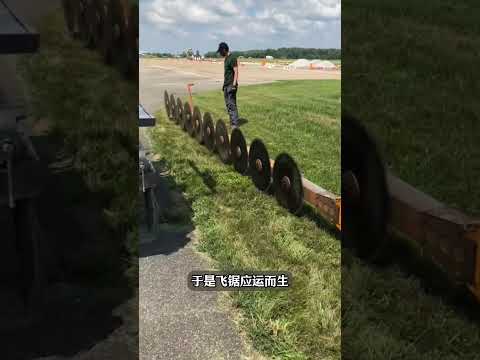 这就是世界上修剪树木最快的方法