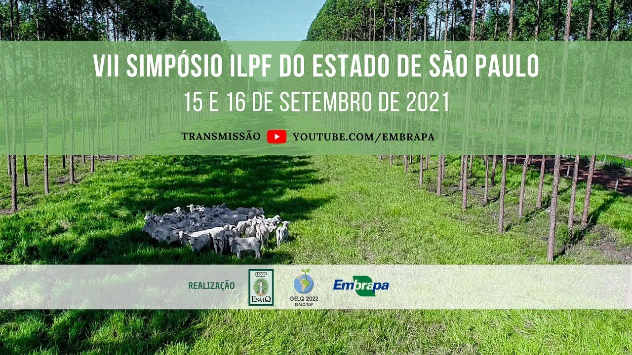VII Simpósio ILPF do Estado de SP -  dia 1 (15/09)
