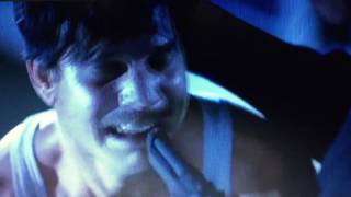 Bill Paxton In Memory of. True Lies