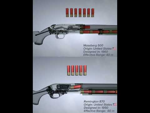 This Gun Started My Career | Mossberg 500 12ga Pump Shotgun Review