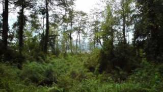 The house of Love Blind