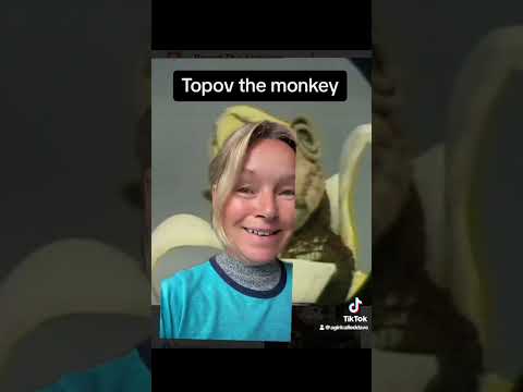 Pipkins tv show Hartley hare