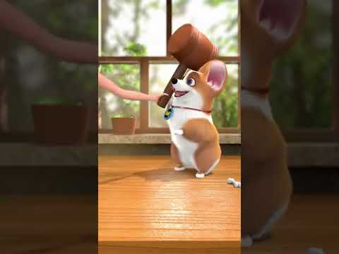 MOCO Fly Dog   3D Animation 2021
