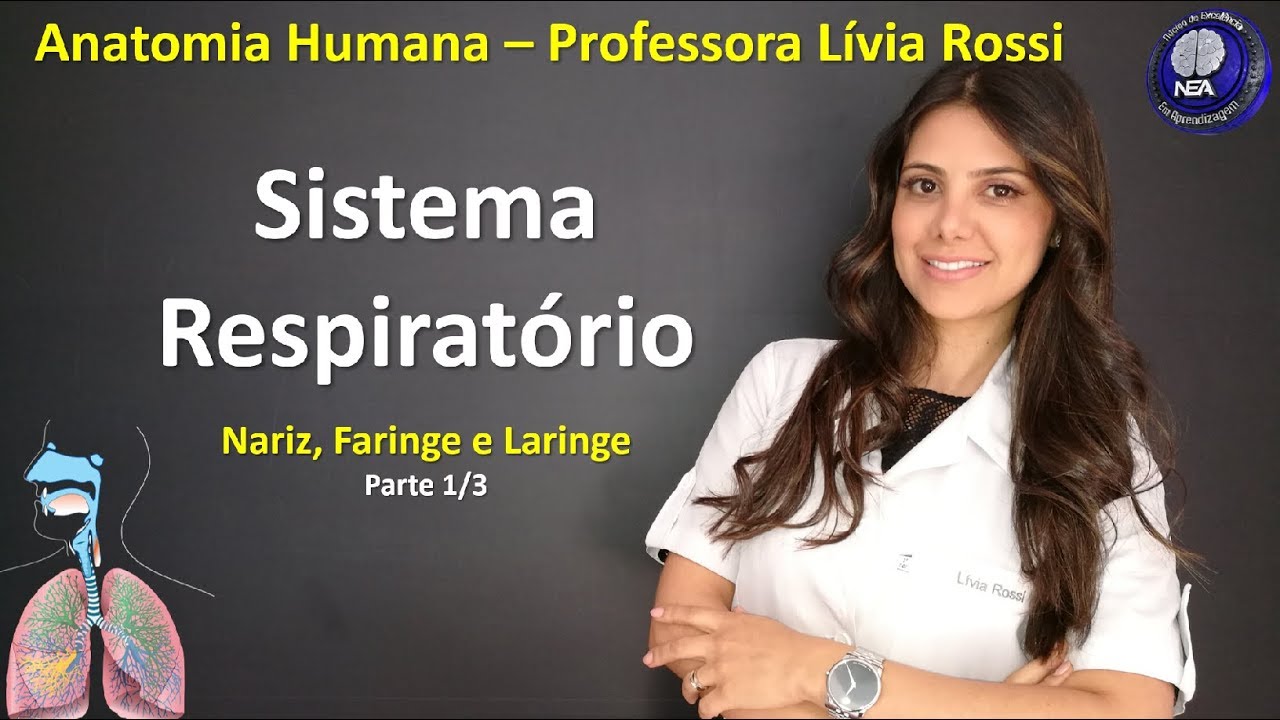 Anatomia Humana - Sistema Respiratório - Introdução (1/3)