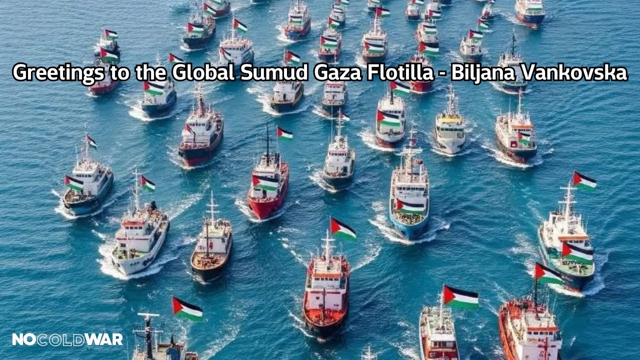 Greetings to the Global Sumud Gaza Flotilla - Biljana Vankovska