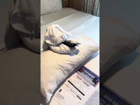 Thumbnail for Our Towel Animal Royal Caribbean Ovation of the Seas #cruise #cruiselife #alaska #towelanimal #ship