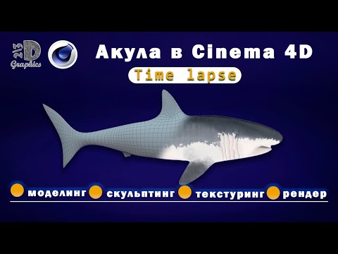 Акула в Cinema 4D |  Shark in Cinema 4D | TimeLapse