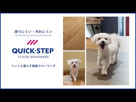 【QUICK-STEP】小型犬が滑りにくいオーク挽板フローリング