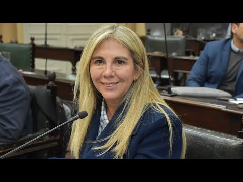 SENADORA ALEJANDRA NAVARRO - CARTA ORGANICA DE LAS LAJITAS