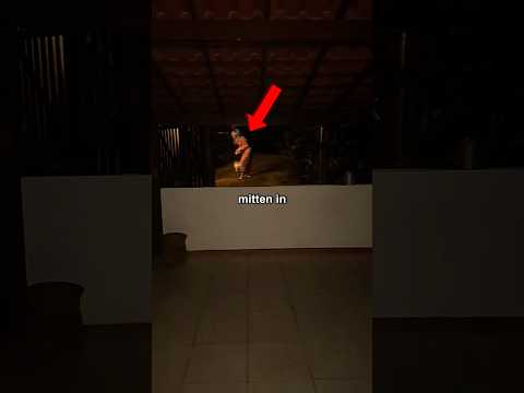 Wie hättet ihr in der Situation reagiert 😳