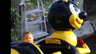 Fuck Bees (Official Music Video)