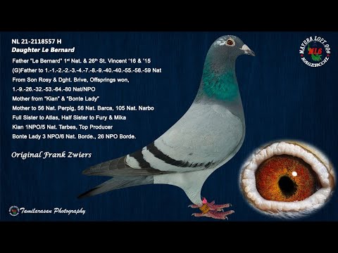 Daughter 1 Nat. St. Vincent 