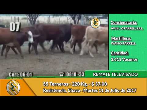 11-07-17 - Remate Televisado de Ivan O Farrell - Resistencia