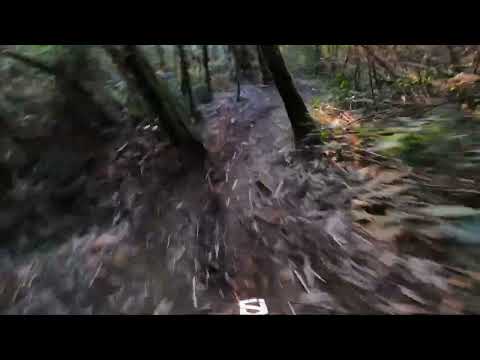 Pista do Chaii - Diego Knob descida completa 2024