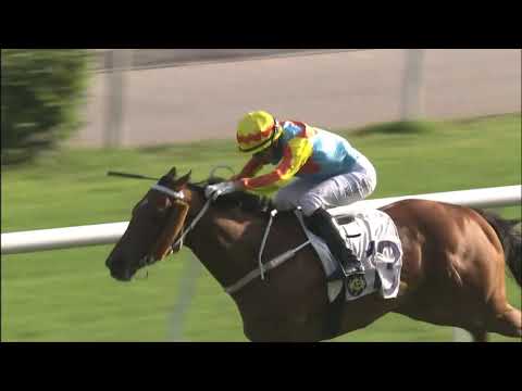 6/12/2020 (244) Ka Ying Excellent - J Moreira