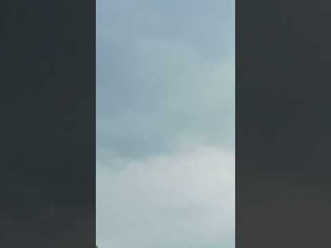 Adornable trees💕💕|The Quran Yamina