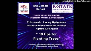 4-11-25 Extension Show Lacey