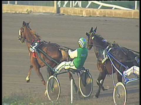 Trotto 31/03/2017 - 7ª corsa