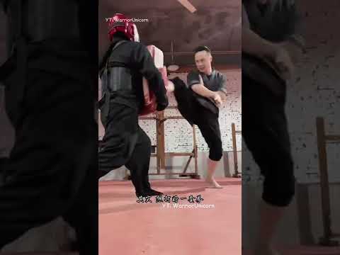 Master Tu Tengyao | Arts of Fighting | Wing Chun Master 2022 | Training
