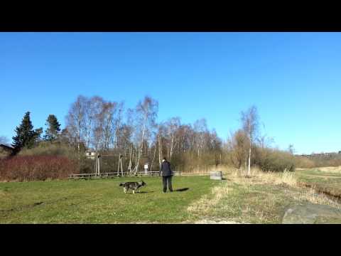 Jabina Fido - Training 12/03-2014