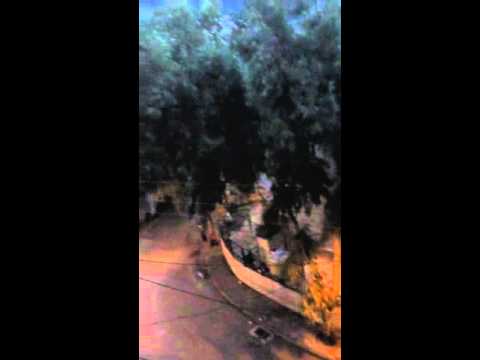 مخلد عبد الجبار