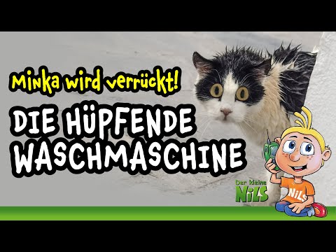 Waschen für die Katz | Der kleine Nils Spaßtelefon
