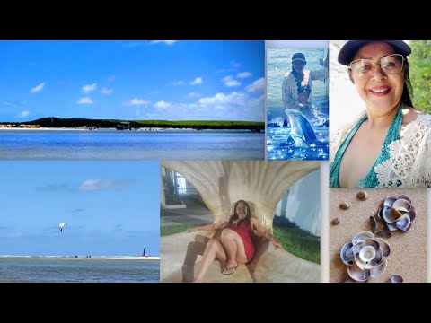 Venha conhecer a #praia das conch Barra de #SãoMiguel #Alagoas Brasil 🇧🇷.as#🐚🌊.27.11.2025