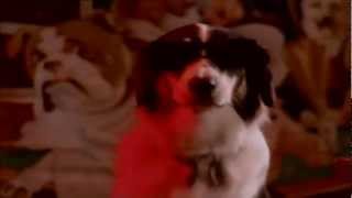 Snoop Doggy Dogg - What's My Name video