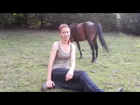 Sascha - wie es weitergeht (ein Pferd mit Sehnenschaden)