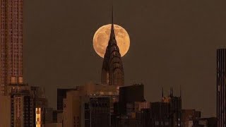 But I love the moon🤷🏻‍♀️🌖🌛#shorts #phobia