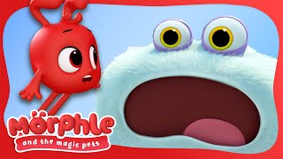 Meet Gobblefrog! | Morphle and the Magic Pets | Available on Disney+ and Disney Jr