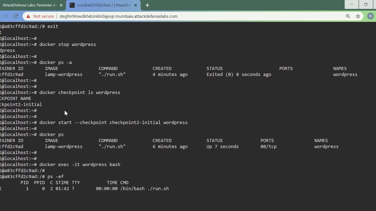 Docker Security: Credential Recovery