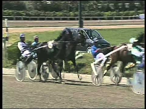 trotto 02/05/2015 - 1° corsa