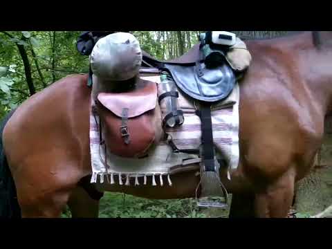 Klif-cesta na koni-Libavá.