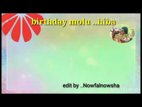 Ali sajipa birthday song hiba molu