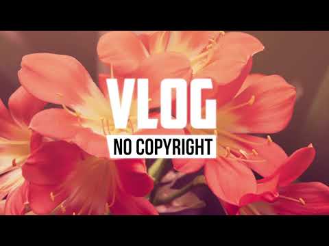 Nekzlo - Heading Home (Vlog No Copyright Music)