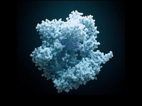 BBC Storyville 2020 The Gene Revolution   Dreams 1080p