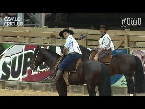 Jacinto Cala Bassa - TE • Melhor Prova de Campo I dos Machos no Bocal de Ouro 2024