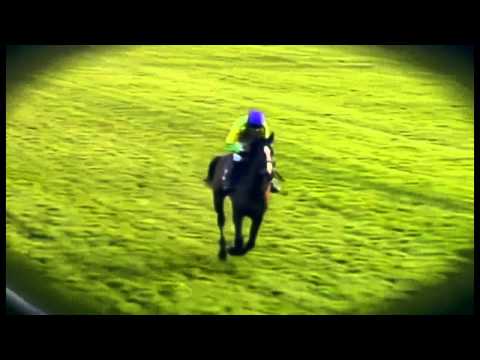 Kauto Star we will miss you...