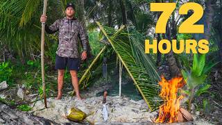 Download lagu I Survived 72 Hours Alone on a Deserted Island – Starving and Thirsty mp3