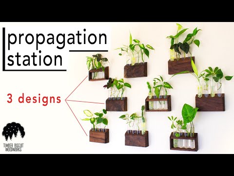 EASIST Woodworking Project that Actually Sells || Propagation Station