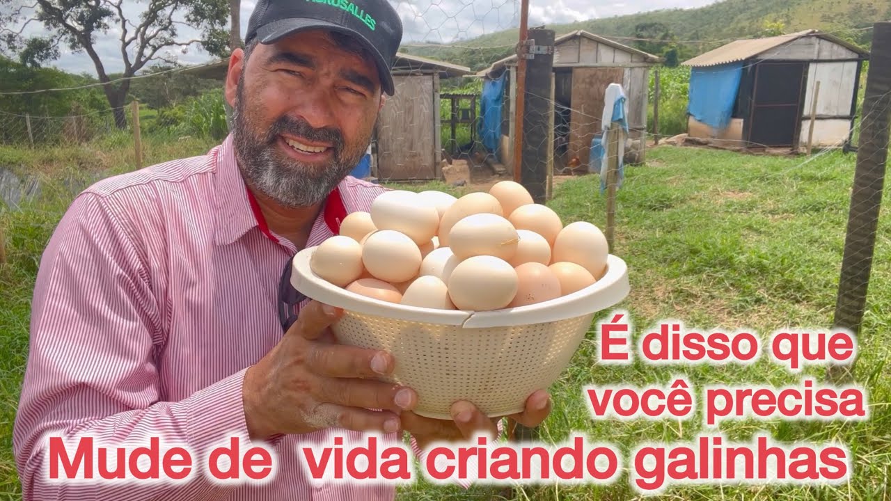 TRANSFORME SUA VIDA CRIANDO GALINHA CAIPIRA EM PEQUENOS ESPAÇOS