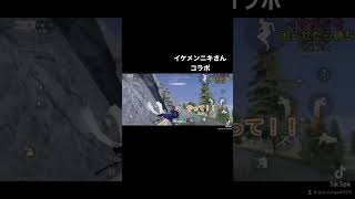 ニキさんいる？