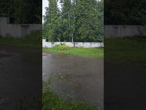 #kerala #rain #evening #monsoon #mazha #home #fypシ゚viral #trending #fyp