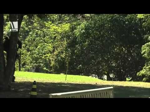 Finale Maritimer Fünfkampf bei den Worldgames.flv