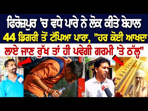 Ferozepur Heatwave Alert: 44 ਡਿਗਰੀ ਤੋਂ ਟੱਪਿਆ ਪਾਰਾ, "ਹਰ ਕੋਈ ਆਖਦਾ ਲਾਏ ਜਾਣ ਰੁੱਖ ਤਾਂ ਹੀ ਪਵੇਗੀ ਗਰਮੀ 'ਤੇ