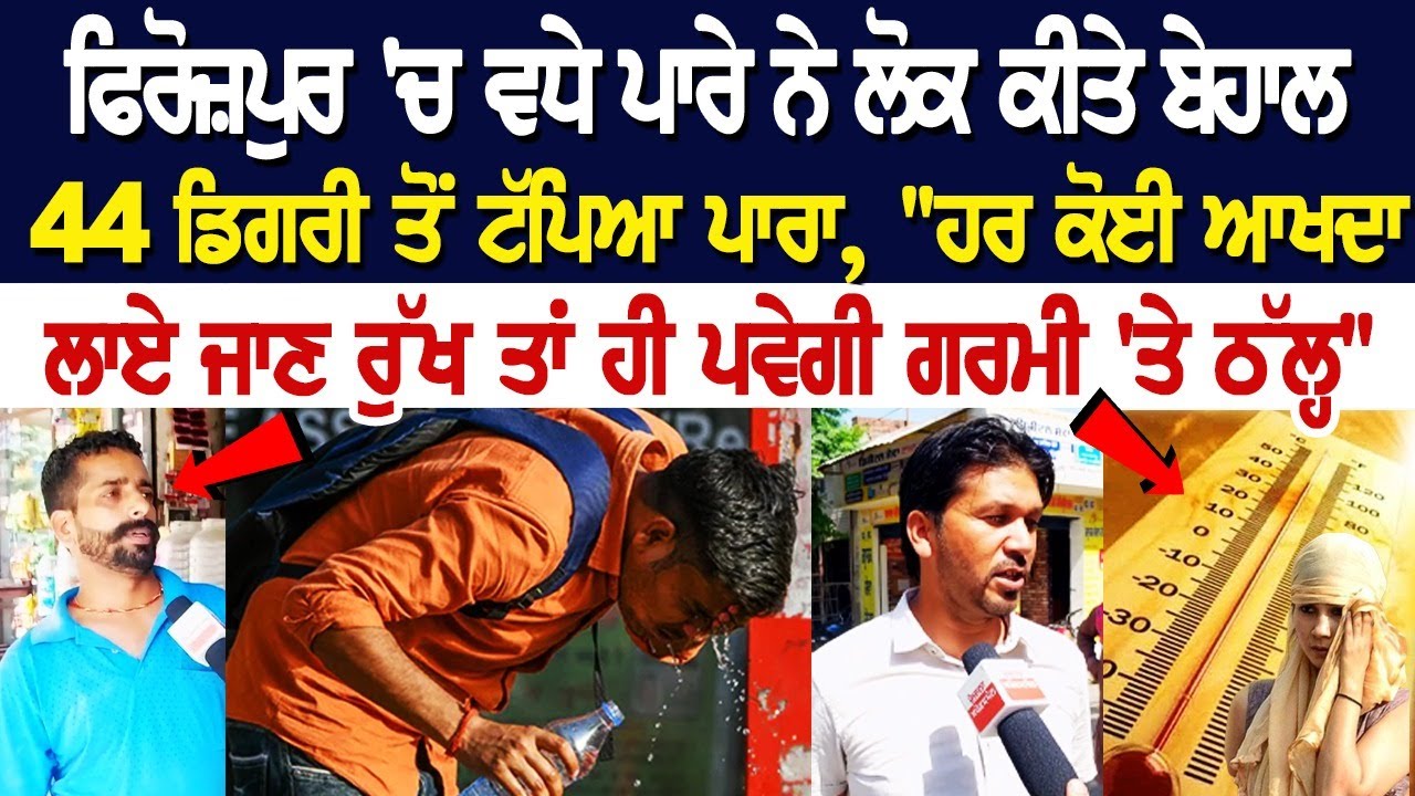 Ferozepur Heatwave Alert: 44 ਡਿਗਰੀ ਤੋਂ ਟੱਪਿਆ ਪਾਰਾ, "ਹਰ ਕੋਈ ਆਖਦਾ ਲਾਏ ਜਾਣ ਰੁੱਖ ਤਾਂ ਹੀ ਪਵੇਗੀ ਗਰਮੀ 'ਤੇ Ferozepur Heatwave Alert: 44 ਡਿਗਰੀ ਤੋਂ ਟੱਪਿਆ ਪਾਰਾ, "ਹਰ ਕੋਈ ਆਖਦਾ ਲਾਏ ਜਾਣ ਰੁੱਖ ਤਾਂ ਹੀ ਪਵੇਗੀ ਗਰਮੀ 'ਤੇ