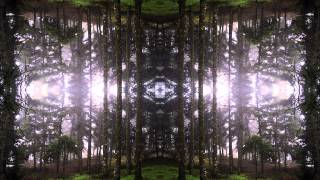 Outer Phase - Psykatonic